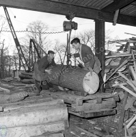 Handling Logs, Saw Mill, Harewood Estate